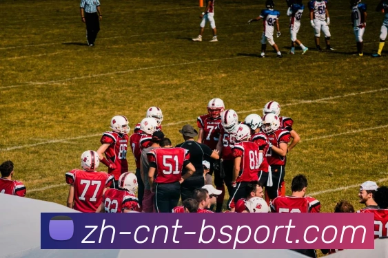 B体育APP 体育赛事宣传图