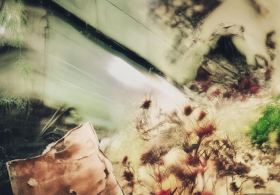 弗拉霍维奇：足球新星闪耀成长之路